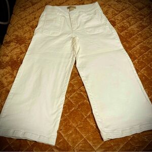 Democracy Ab Technology Wide Leg Cropped  Jeans $4.99 shipping